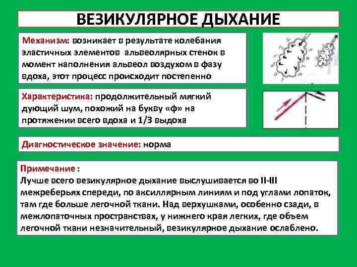 Эффект остаточного изображения возникает в результате