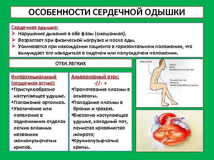 ОСОБЕННОСТИ СЕРДЕЧНОЙ ОДЫШКИ Сердечная одышка: Ø Нарушение дыхания в обе фазы (смешанная). Ø Возрастает
