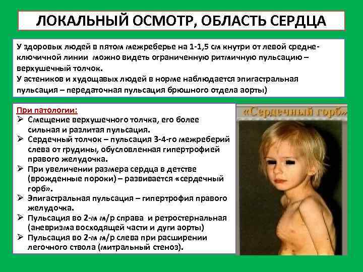 ЛОКАЛЬНЫЙ ОСМОТР, ОБЛАСТЬ СЕРДЦА У здоровых людей в пятом межреберье на 1 -1, 5