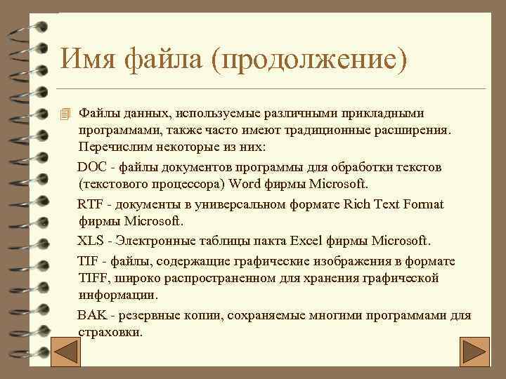 Имя файла (продолжение) 4 Файлы данных, используемые различными прикладными программами, также часто имеют традиционные