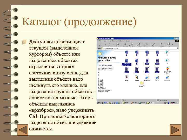 Каталог (продолжение) 4 Доступная информация о текущем (выделенном курсором) объекте или выделенных объектах отражается