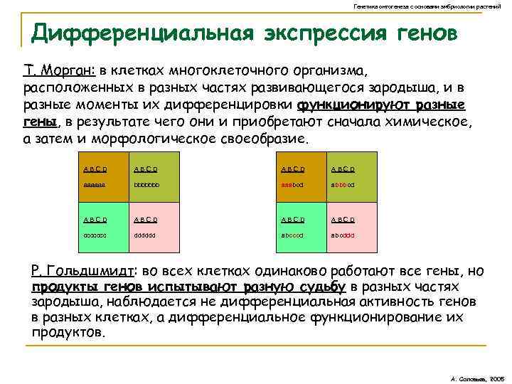 Генетика онтогенеза с основами эмбриологии растений Дифференциальная экспрессия генов Т. Морган: в клетках многоклеточного