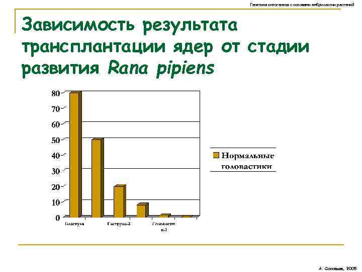 Генетика онтогенеза с основами эмбриологии растений Зависимость результата трансплантации ядер от стадии развития Rana