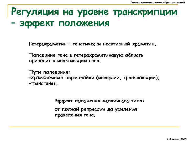 Генетика онтогенеза с основами эмбриологии растений Регуляция на уровне транскрипции – эффект положения Гетерохроматин