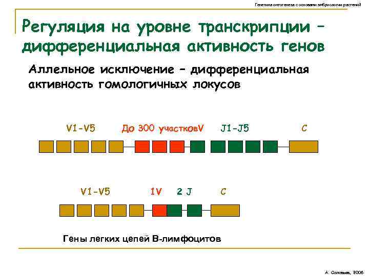 Дифференциальная активность гена