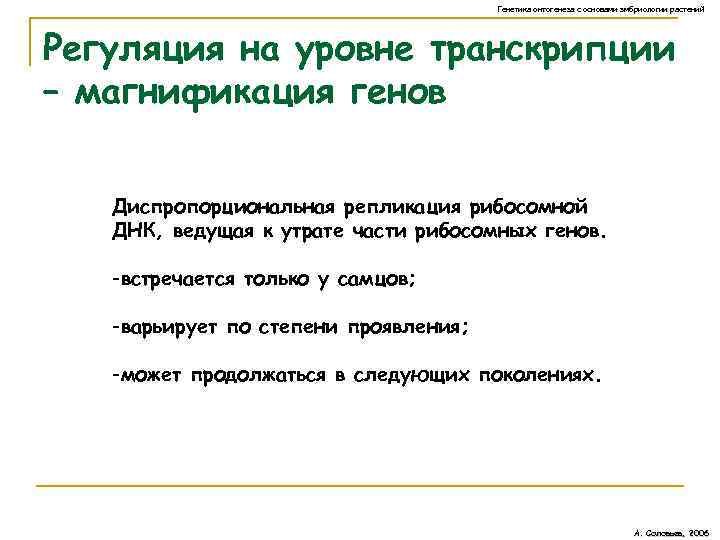 Генетика онтогенеза с основами эмбриологии растений Регуляция на уровне транскрипции – магнификация генов Диспропорциональная