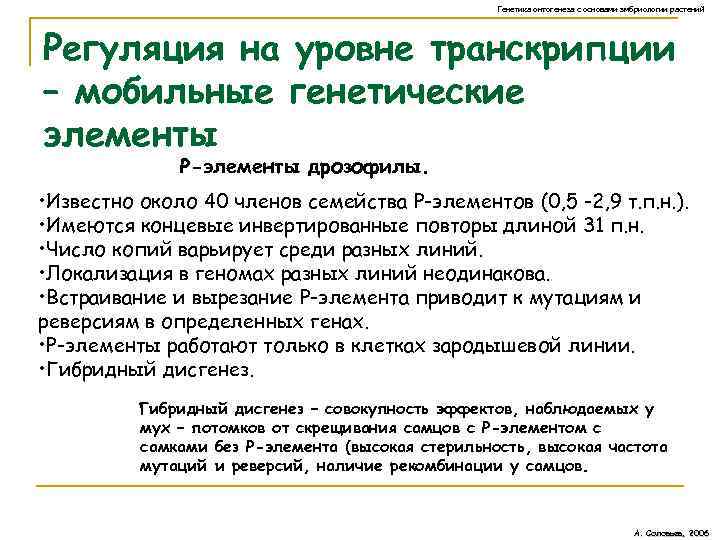 Генетика онтогенеза с основами эмбриологии растений Регуляция на уровне транскрипции – мобильные генетические элементы
