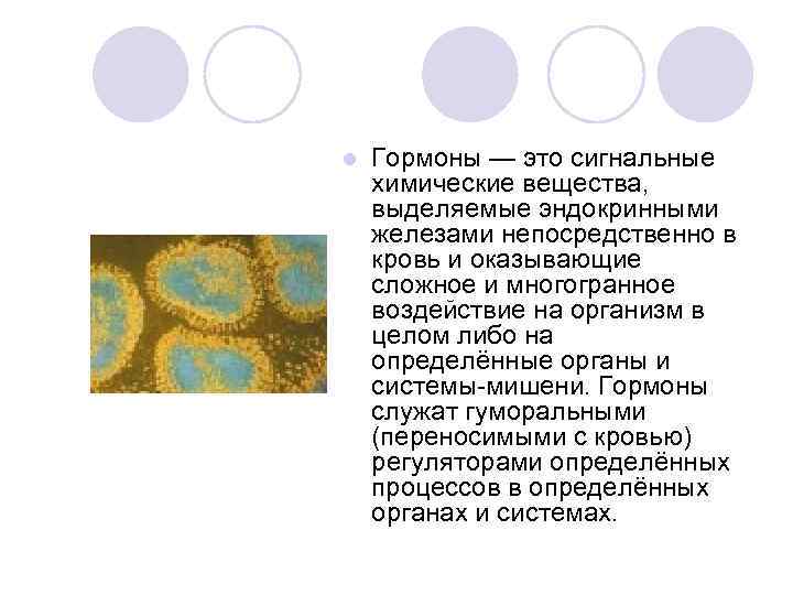 l Гормоны — это сигнальные химические вещества, выделяемые эндокринными железами непосредственно в кровь и