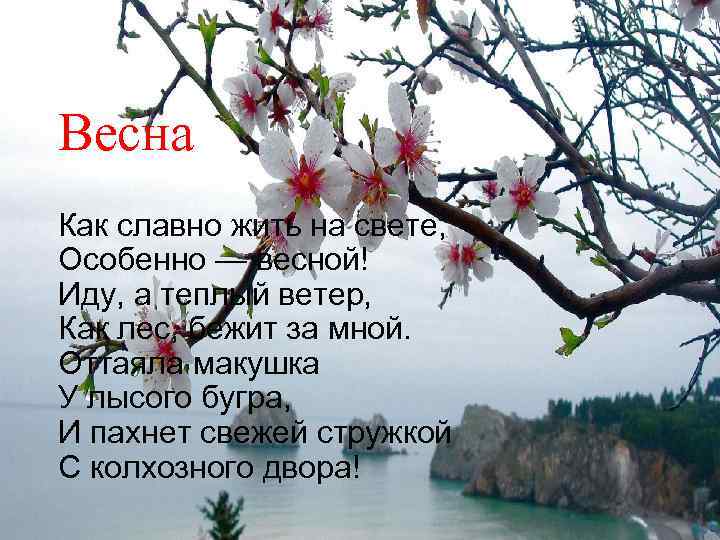 Весна Как славно жить на свете, Особенно — весной! Иду, а теплый ветер, Как