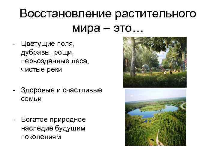 Восстановление растительного мира – это… - Цветущие поля, дубравы, рощи, первозданные леса, чистые реки