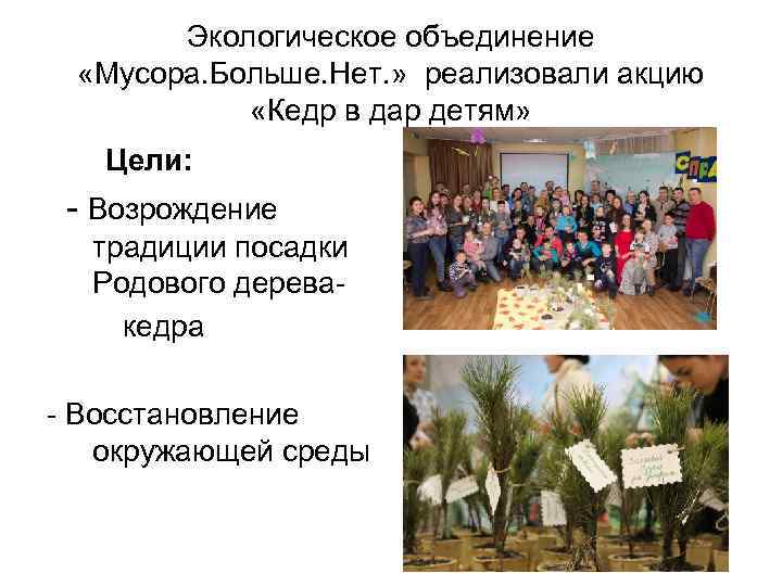 Экологическое объединение «Мусора. Больше. Нет. » реализовали акцию «Кедр в дар детям» Цели: -