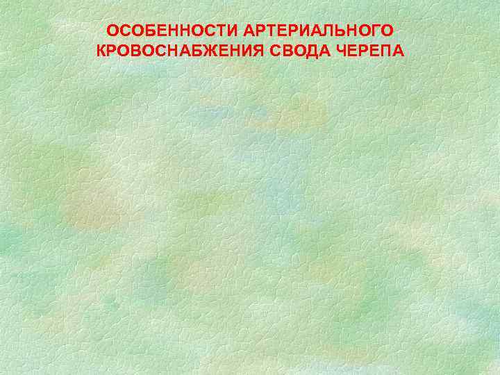 ОСОБЕННОСТИ АРТЕРИАЛЬНОГО КРОВОСНАБЖЕНИЯ СВОДА ЧЕРЕПА 