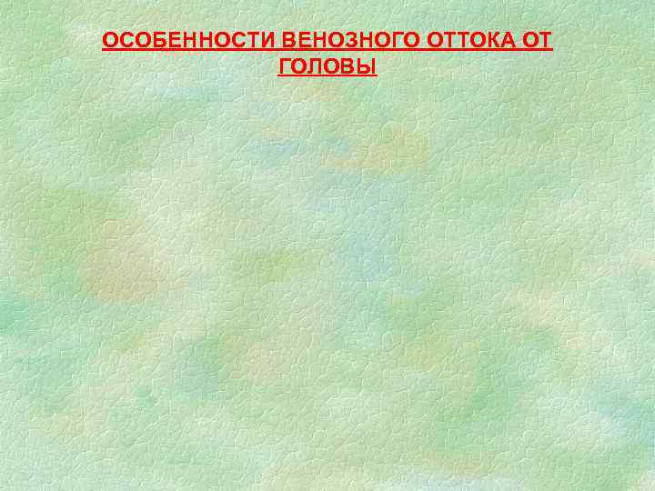 ОСОБЕННОСТИ ВЕНОЗНОГО ОТТОКА ОТ ГОЛОВЫ 
