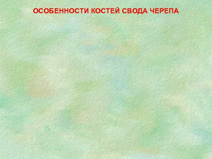 ОСОБЕННОСТИ КОСТЕЙ СВОДА ЧЕРЕПА 