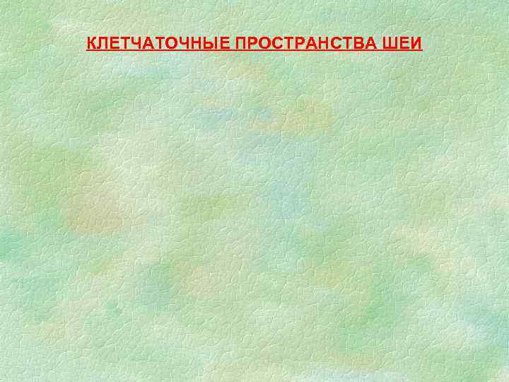 КЛЕТЧАТОЧНЫЕ ПРОСТРАНСТВА ШЕИ 