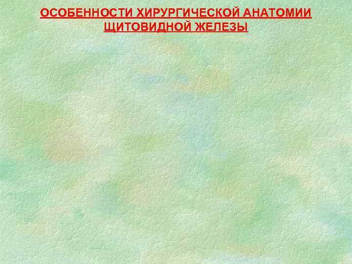 ОСОБЕННОСТИ ХИРУРГИЧЕСКОЙ АНАТОМИИ ЩИТОВИДНОЙ ЖЕЛЕЗЫ 