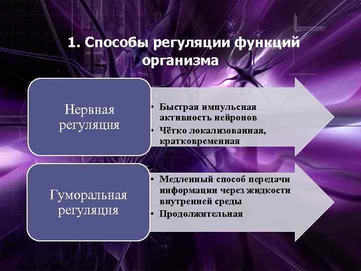 Средства регуляции