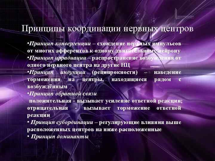 Принципы координации нервных центров • • Принцип конвергенции – схождение нервных импульсов от афферентов