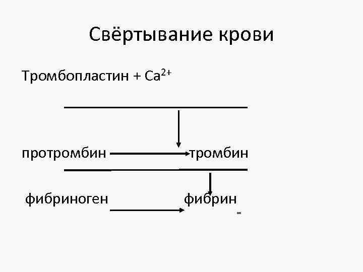 Свёртывание крови Тромбопластин + Са 2+ протромбин фибриноген тромбин фибрин 