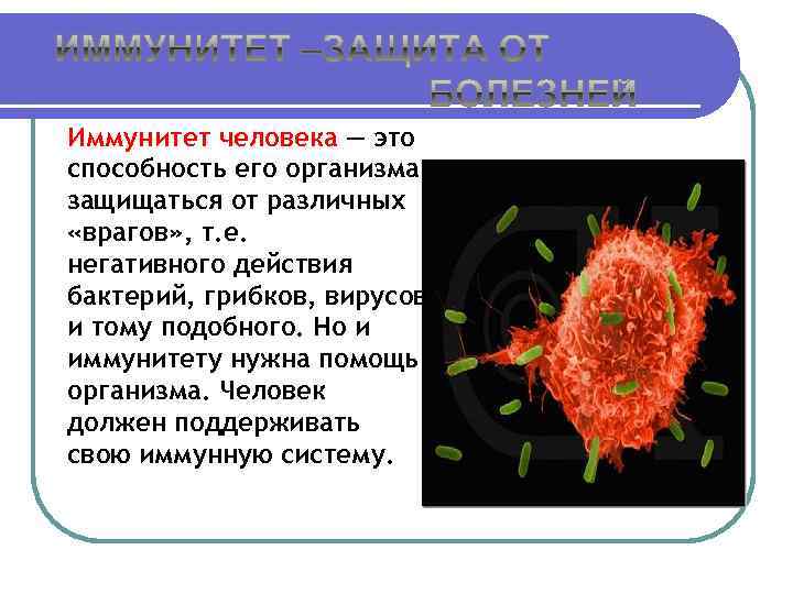 Иммунитет человека — это способность его организма защищаться от различных «врагов» , т. е.