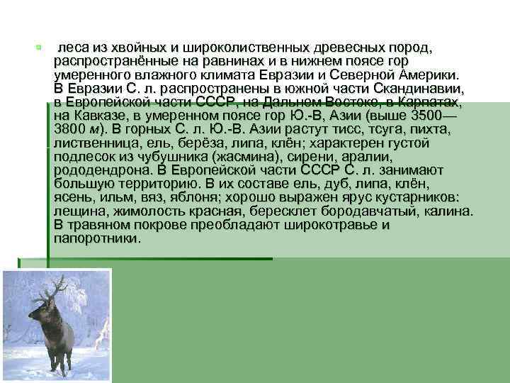 § леса из хвойных и широколиственных древесных пород, распространённые на равнинах и в нижнем