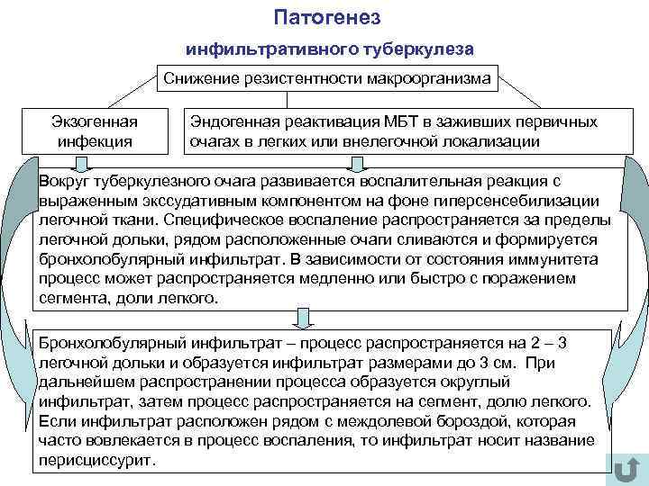 Патогенез инфильтративного туберкулеза Снижение резистентности макроорганизма Экзогенная инфекция Эндогенная реактивация МБТ в заживших первичных