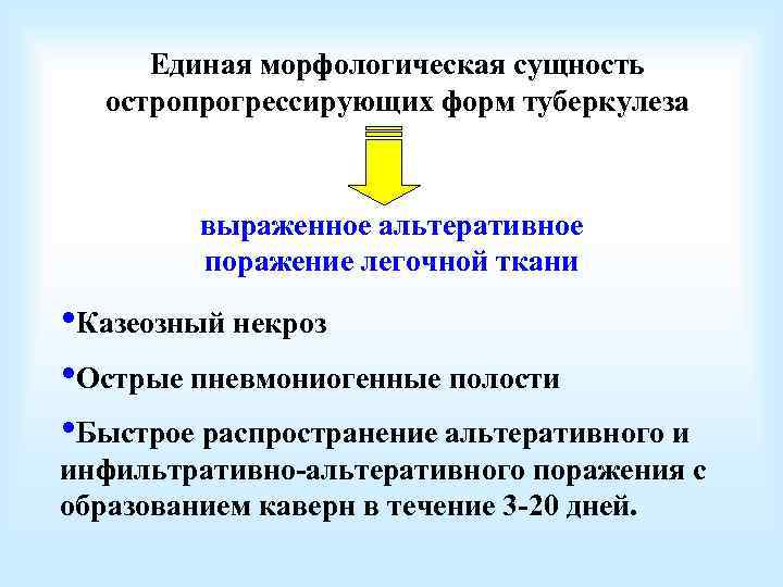 Единая морфологическая сущность остропрогрессирующих форм туберкулеза выраженное альтеративное поражение легочной ткани • Казеозный некроз