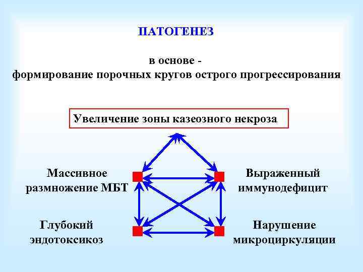 ПАТОГЕНЕЗ в основе формирование порочных кругов острого прогрессирования Увеличение зоны казеозного некроза Массивное размножение