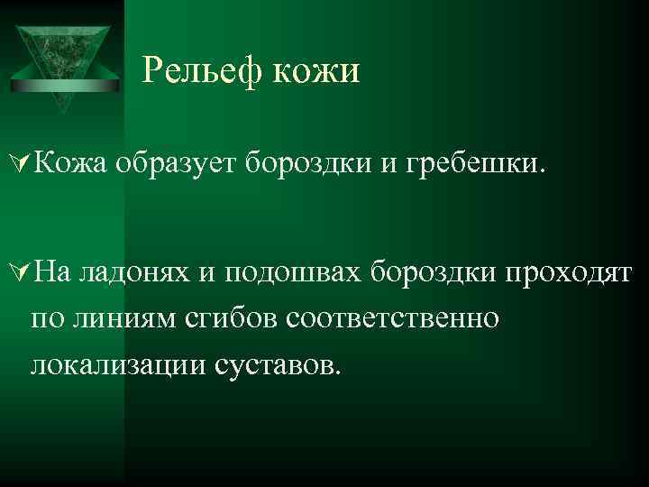 Рельеф кожи ÚКожа образует бороздки и гребешки. ÚНа ладонях и подошвах бороздки проходят по