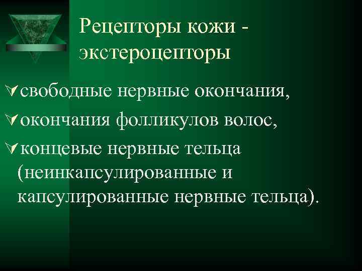 Рецепторы кожи экстероцепторы Úсвободные нервные окончания, Úокончания фолликулов волос, Úконцевые нервные тельца (неинкапсулированные и