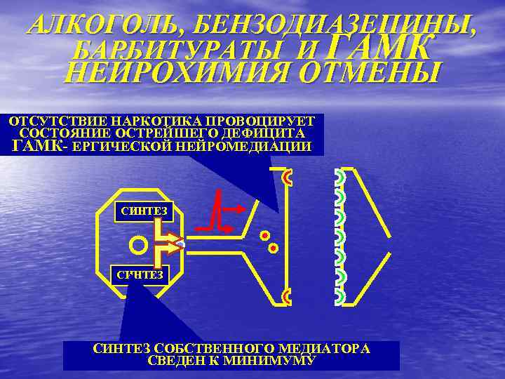 АЛКОГОЛЬ, БЕНЗОДИАЗЕПИНЫ, БАРБИТУРАТЫ И ГАМК НЕЙРОХИМИЯ ОТМЕНЫ ОТСУТСТВИЕ НАРКОТИКА ПРОВОЦИРУЕТ СОСТОЯНИЕ ОСТРЕЙШЕГО ДЕФИЦИТА ГАМК-