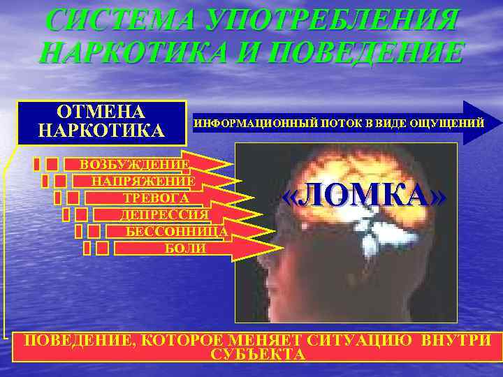 СИСТЕМА УПОТРЕБЛЕНИЯ НАРКОТИКА И ПОВЕДЕНИЕ ОТМЕНА НАРКОТИКА ИНФОРМАЦИОННЫЙ ПОТОК В ВИДЕ ОЩУЩЕНИЙ ВОЗБУЖДЕНИЕ НАПРЯЖЕНИЕ