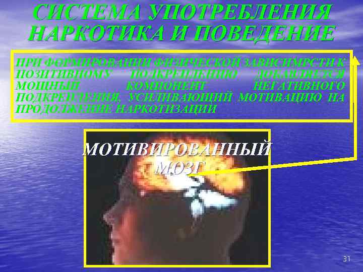 СИСТЕМА УПОТРЕБЛЕНИЯ НАРКОТИКА И ПОВЕДЕНИЕ ПРИ ФОРМИРОВАНИИ ФИЗИЧЕСКОЙ ЗАВИСИМРСТИ К ПОЗИТИВНОМУ ПОДКРЕПЛЕНИЮ ДОБАВЛЯЕТСЯ МОЩНЫЙ