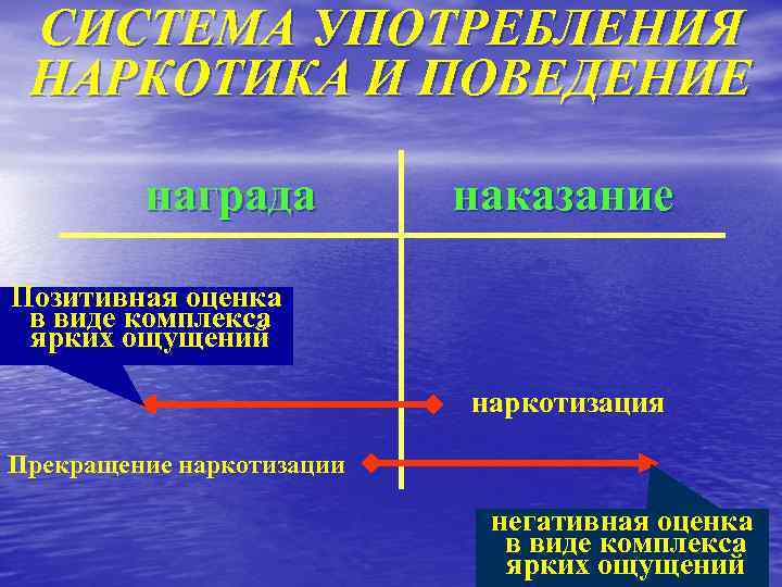 СИСТЕМА УПОТРЕБЛЕНИЯ НАРКОТИКА И ПОВЕДЕНИЕ награда наказание Позитивная оценка в виде комплекса ярких ощущений