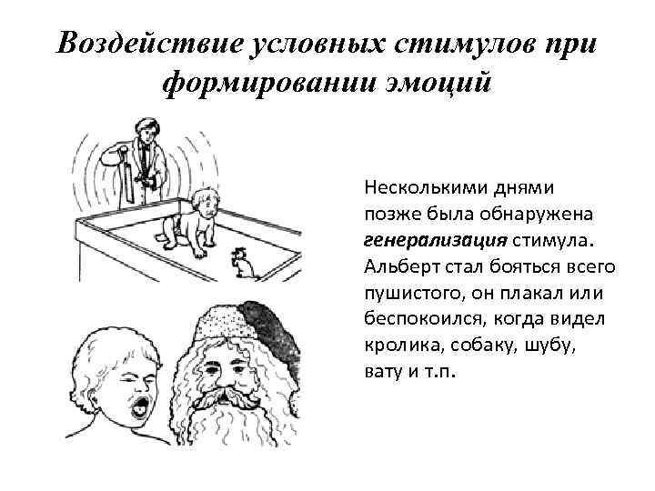 Воздействие условных стимулов при формировании эмоций Несколькими днями позже была обнаружена генерализация стимула. Альберт