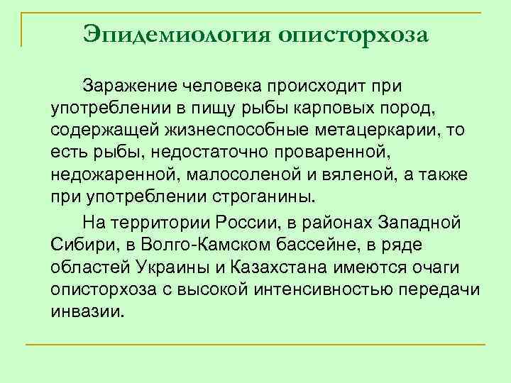 Эпидемиология описторхоза Заражение человека происходит при употреблении в пищу рыбы карповых пород, содержащей жизнеспособные