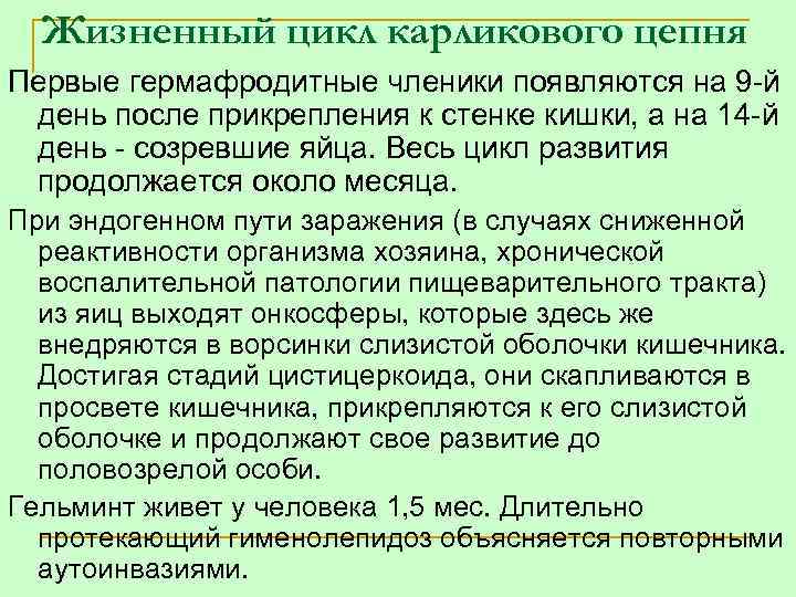 Жизненный цикл карликового цепня Первые гермафродитные членики появляются на 9 й день после прикрепления