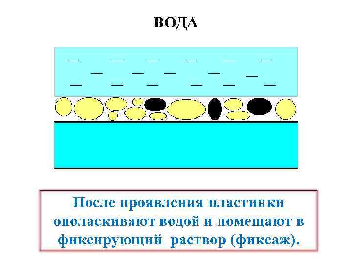 ВОДА После проявления пластинки ополаскивают водой и помещают в фиксирующий раствор (фиксаж). 