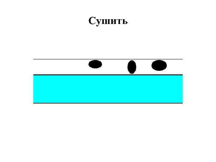Сушить 