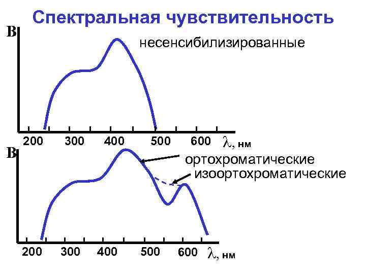 Спектральная чувствительность. Спектральная чувствительность солнечной батареи. Спектральная чувствительность пленки. Спектральная чувствительность человеческого глаза. Диапазон спектральной чувствительности.
