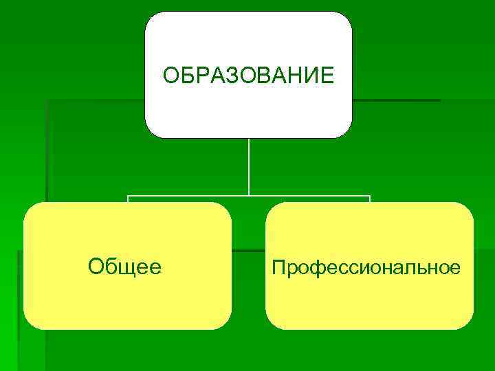 ОБРАЗОВАНИЕ Общее Профессиональное 