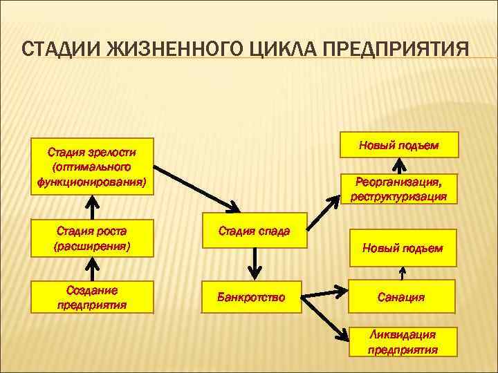 СТАДИИ ЖИЗНЕННОГО ЦИКЛА ПРЕДПРИЯТИЯ Новый подъем Стадия зрелости (оптимального функционирования) Стадия роста (расширения) Создание