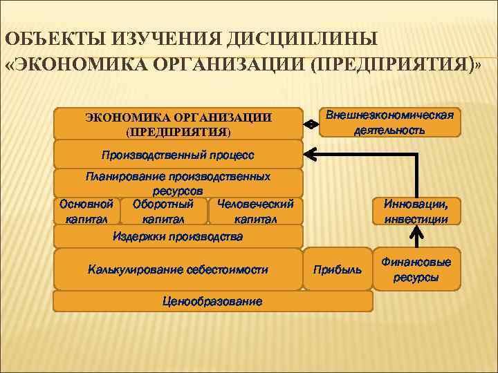 ОБЪЕКТЫ ИЗУЧЕНИЯ ДИСЦИПЛИНЫ «ЭКОНОМИКА ОРГАНИЗАЦИИ (ПРЕДПРИЯТИЯ)» ЭКОНОМИКА ОРГАНИЗАЦИИ (ПРЕДПРИЯТИЯ) Внешнеэкономическая деятельность Производственный процесс Планирование