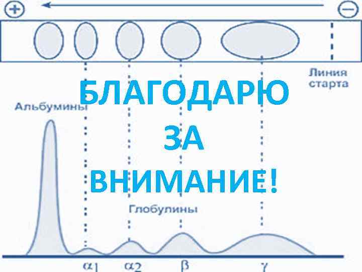 БЛАГОДАРЮ ЗА ВНИМАНИЕ! 