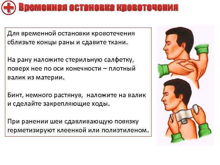 + Временная остановка кровотечения Для временной остановки кровотечения сблизьте концы раны и сдавите ткани.