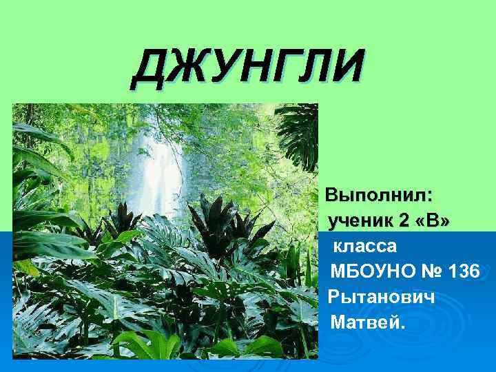 ДЖУНГЛИ Выполнил: ученик 2 «В» класса МБОУНО № 136 Рытанович Матвей. 