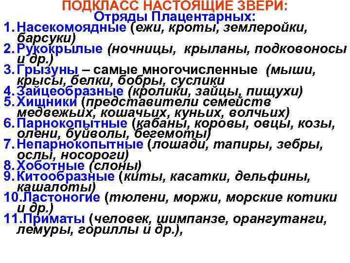 ПОДКЛАСС НАСТОЯЩИЕ ЗВЕРИ: Отряды Плацентарных: 1. Насекомоядные (ежи, кроты, землеройки, барсуки) 2. Рукокрылые (ночницы,