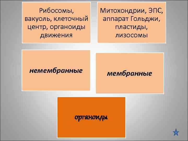 Рибосомы, вакуоль, клеточный центр, органоиды движения Митохондрии, ЭПС, аппарат Гольджи, пластиды, лизосомы немембранные органоиды