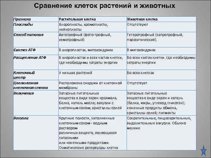 Сравнение клеток растений и животных Признаки Пластиды Растительная клетка Хлоропласты, хромопласты, лейкопласты Автотрофный (фото-трофный,