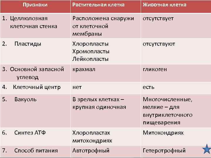 Признаки Растительная клетка Животная клетка Отличительные признаки 1. Целлюлозная клеточная стенка Расположена снаружи от